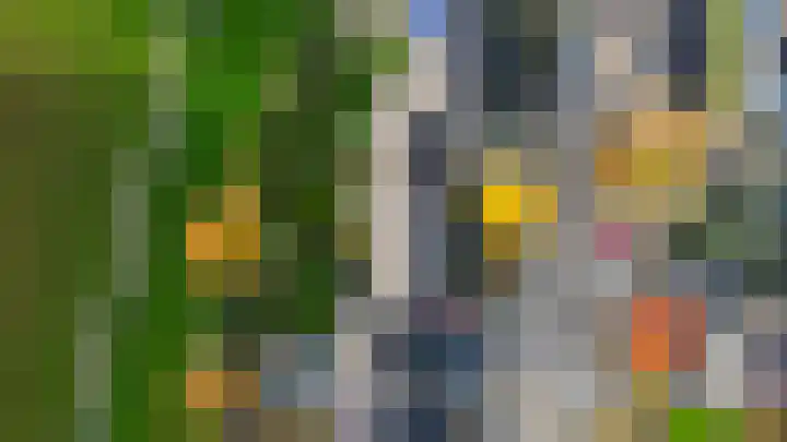 Fivel 10 Drachten thumbnail 37