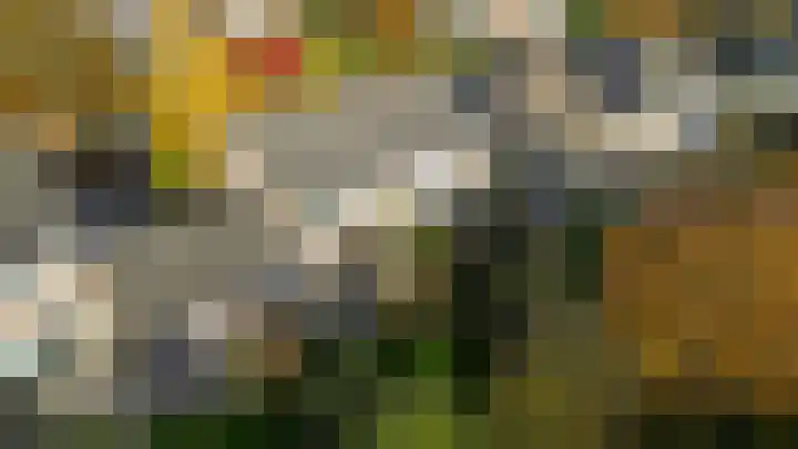 Fivel 10 Drachten thumbnail 39