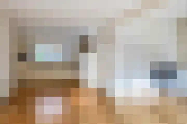 Fivel 10 Drachten thumbnail 5