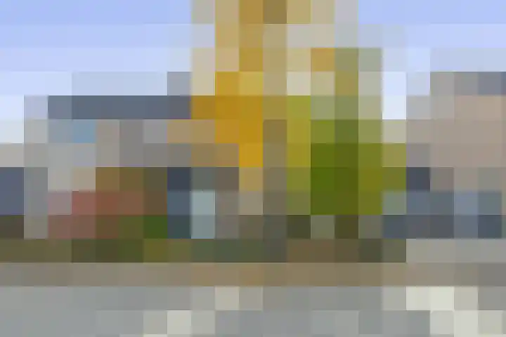 Fivel 10 Drachten thumbnail 6