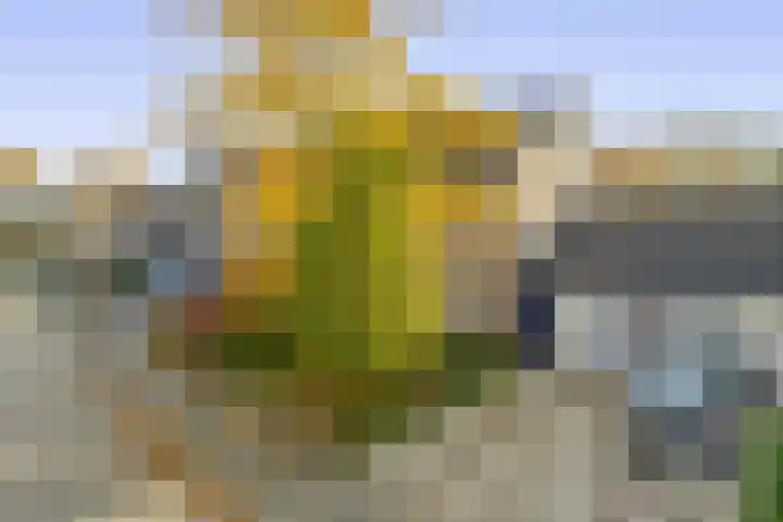 Fivel 10 Drachten thumbnail 7
