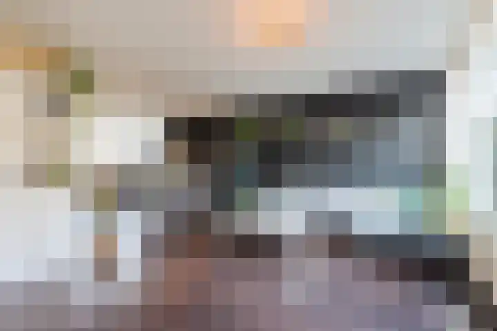 Fivel 11 Zwolle foto 2