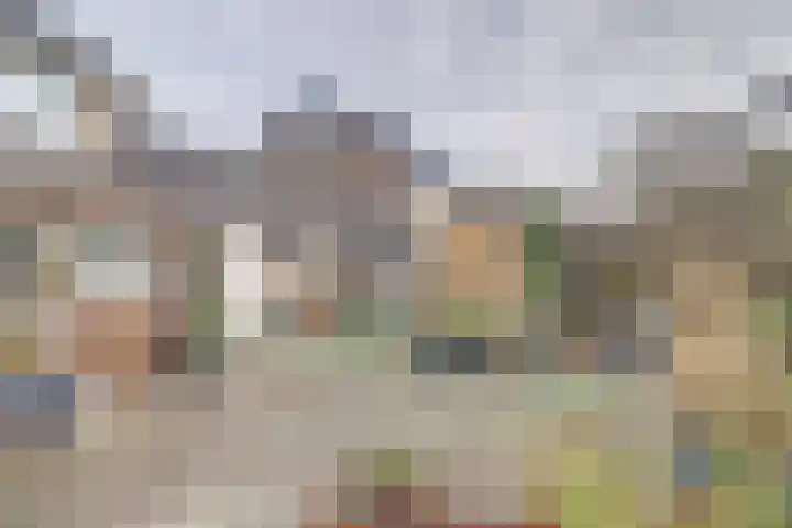 Fivel 4 Drachten thumbnail 30