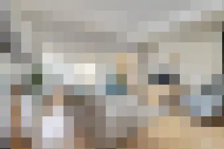 Fivel 4 Drachten thumbnail 6