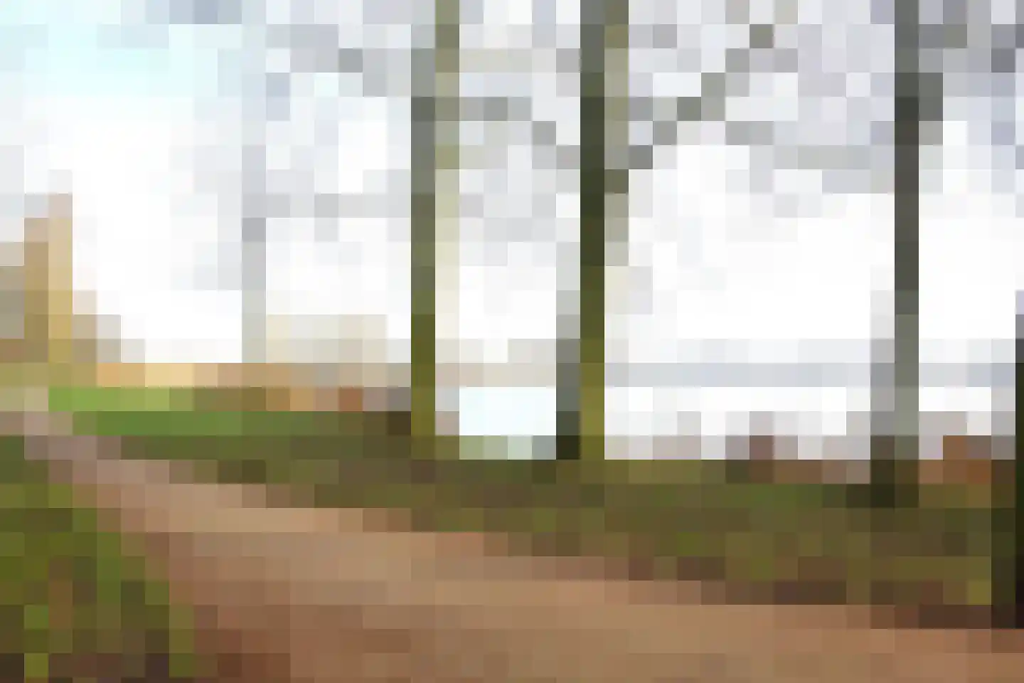 Fivel 52 Zwolle thumbnail 30
