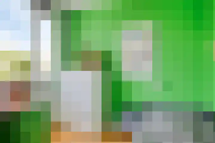 Fivel 67 Zwolle thumbnail 16