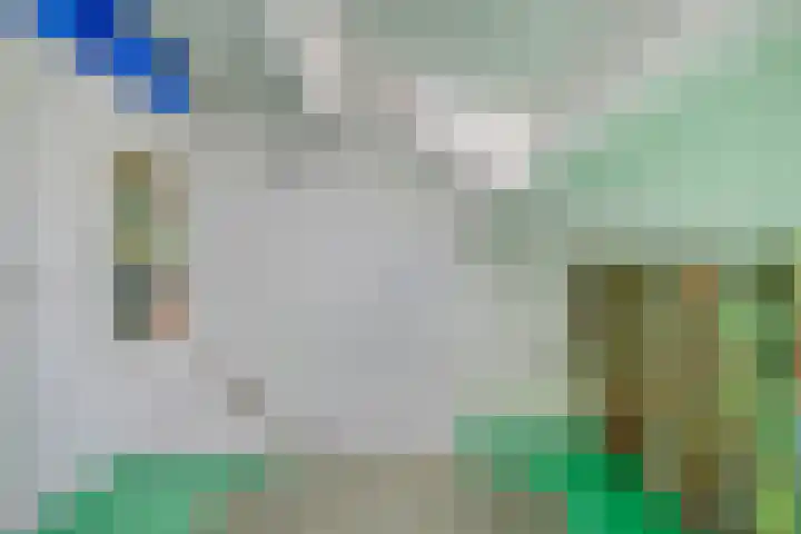 Fivel 67 Zwolle thumbnail 22