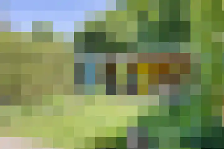 Fivel 67 Zwolle thumbnail 25