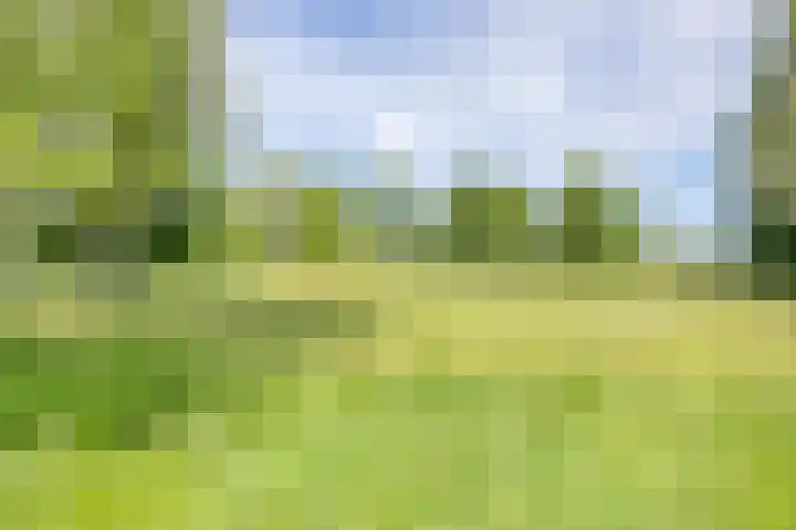 Fivel 67 Zwolle thumbnail 30