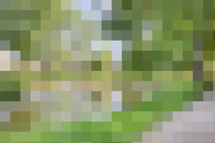Fivel 67 Zwolle thumbnail 31