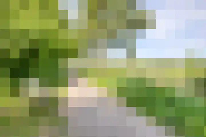 Fivel 67 Zwolle thumbnail 32