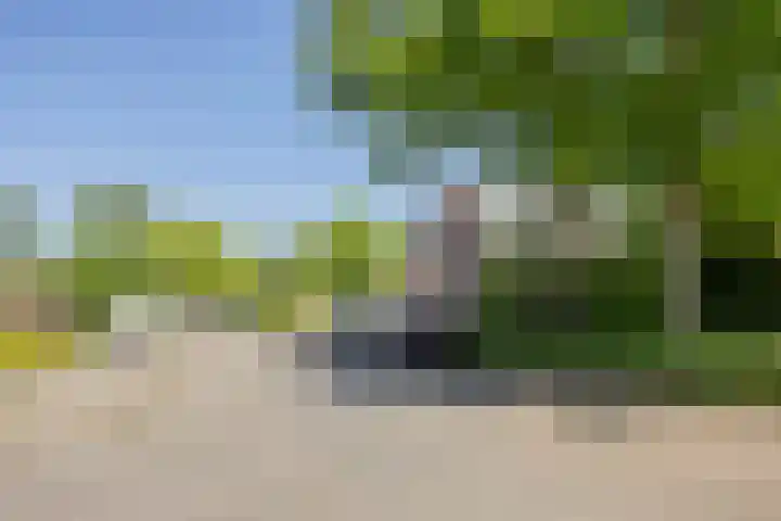 Fivel 67 Zwolle thumbnail 33