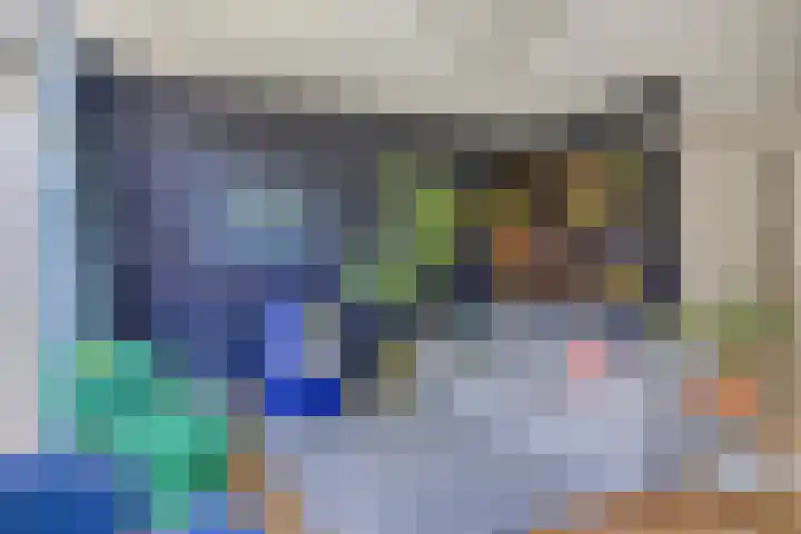 Fivel 67 Zwolle thumbnail 7