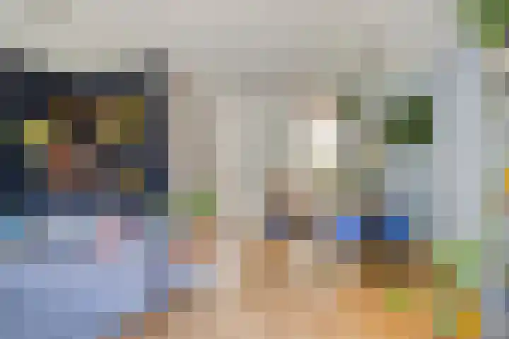 Fivel 67 Zwolle thumbnail 8