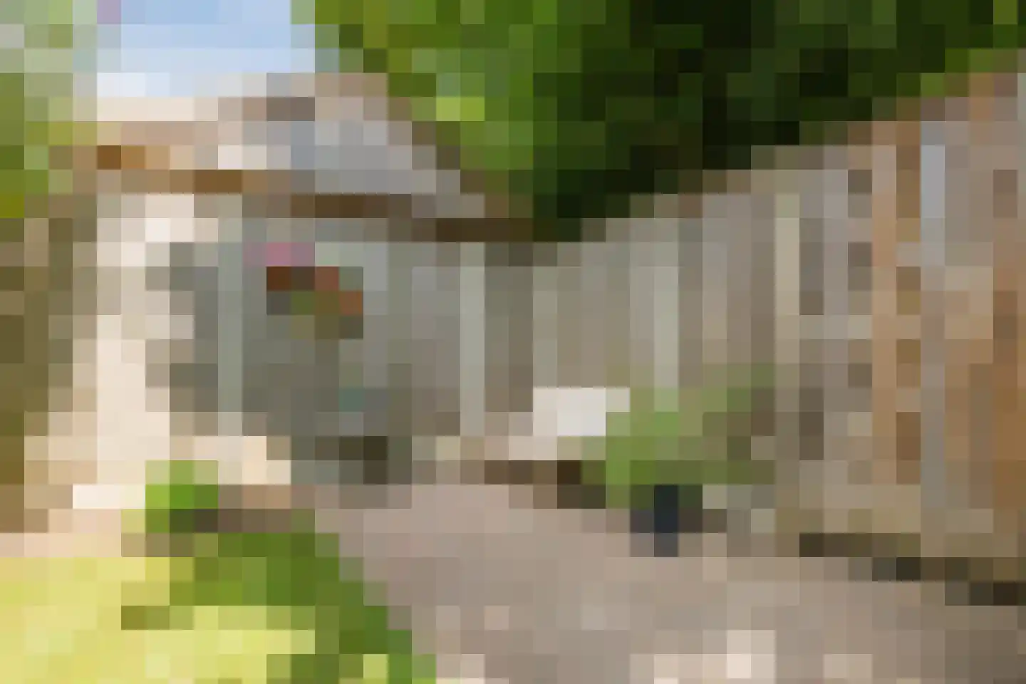 Fivel 71 Zwolle thumbnail 40
