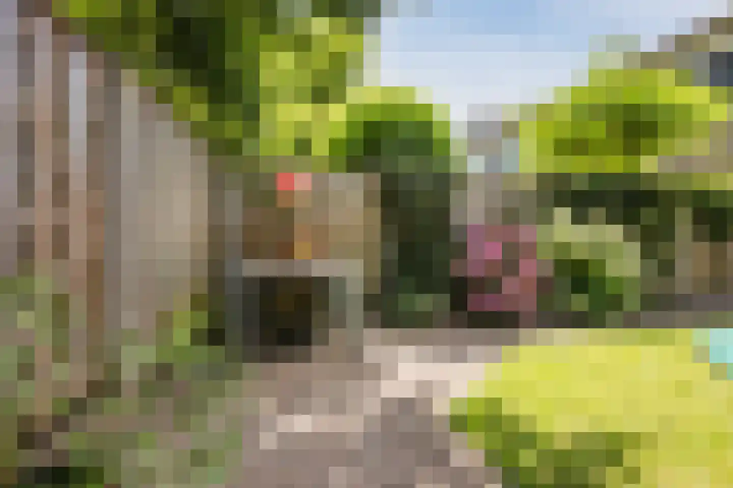 Fivel 71 Zwolle thumbnail 41