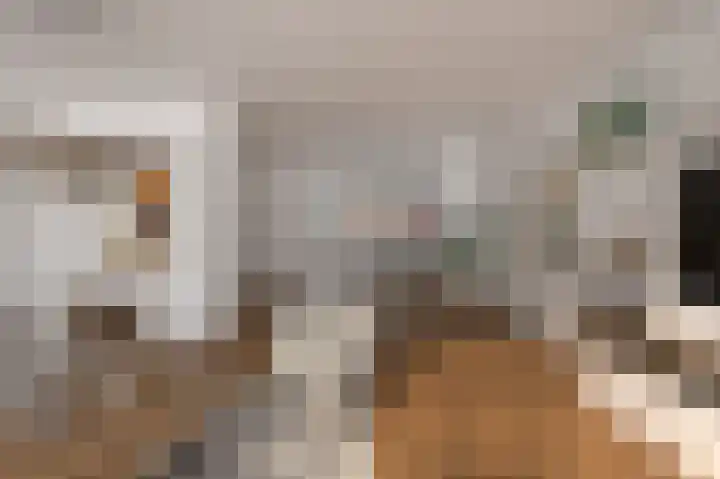 Fivel 89 Zwolle thumbnail 12
