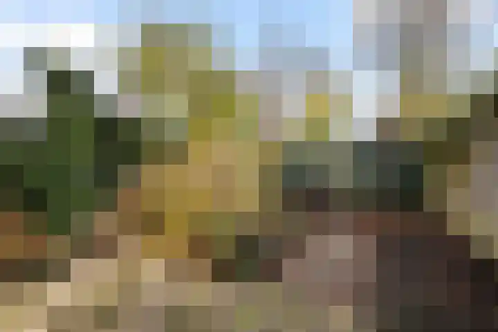 Fivel 89 Zwolle thumbnail 28
