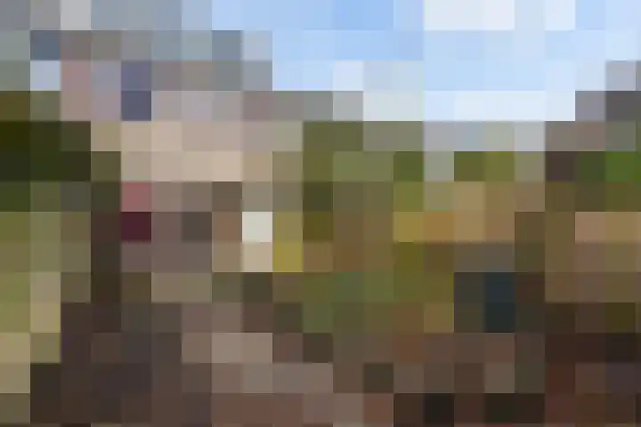 Fivel 89 Zwolle thumbnail 29