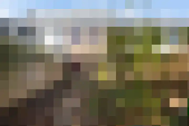 Fivel 89 Zwolle thumbnail 30