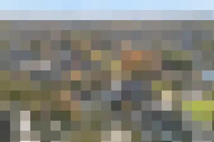Fivel 89 Zwolle thumbnail 31
