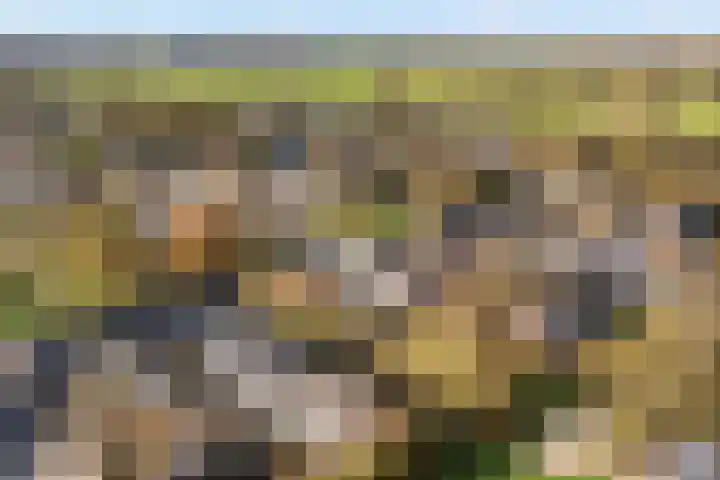 Fivel 89 Zwolle thumbnail 32