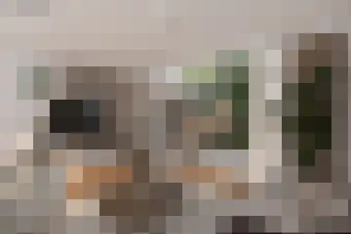 Fivel 89 Zwolle thumbnail 6
