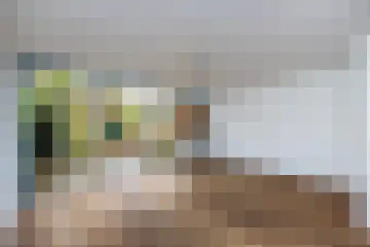 Fivel 89 Zwolle thumbnail 7