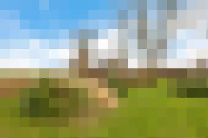 Fiveldijk 1 Westeremden thumbnail 10