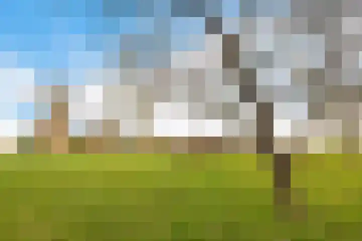 Fiveldijk 1 Westeremden thumbnail 11