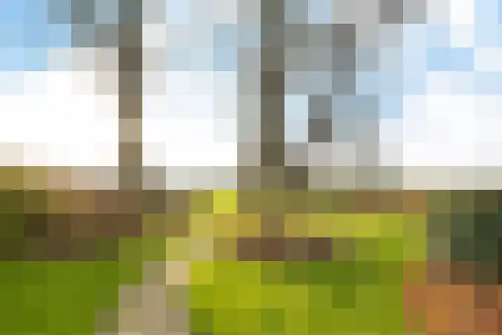 Fiveldijk 1 Westeremden thumbnail 12