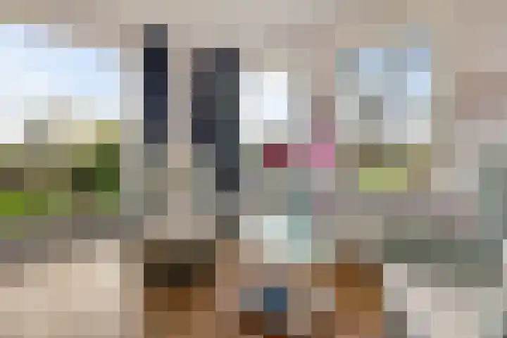 Fiveldijk 1 Westeremden thumbnail 17