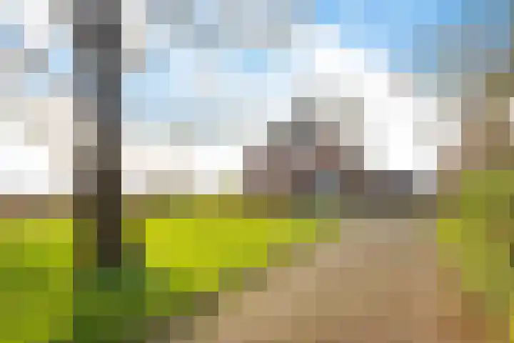 Fiveldijk 1 Westeremden thumbnail 37