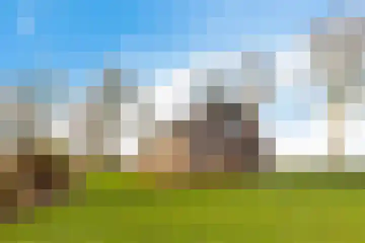 Fiveldijk 1 Westeremden thumbnail 38