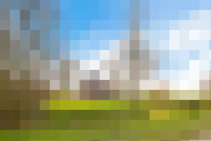 Fiveldijk 1 Westeremden thumbnail 4