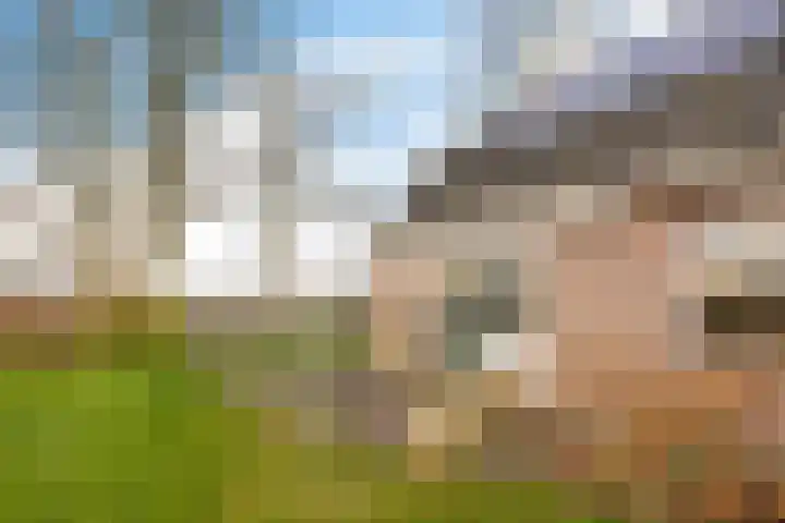 Fiveldijk 1 Westeremden thumbnail 44