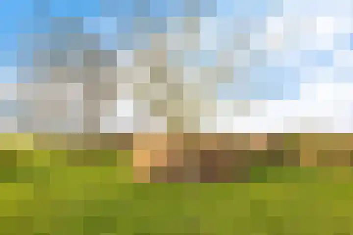 Fiveldijk 1 Westeremden thumbnail 47