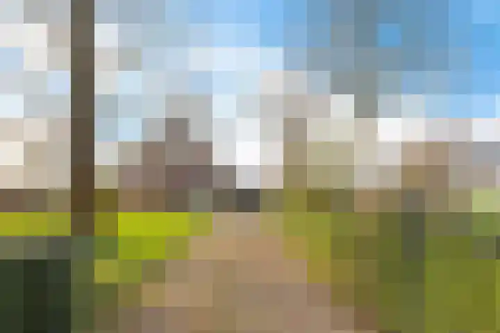 Fiveldijk 1 Westeremden thumbnail 5