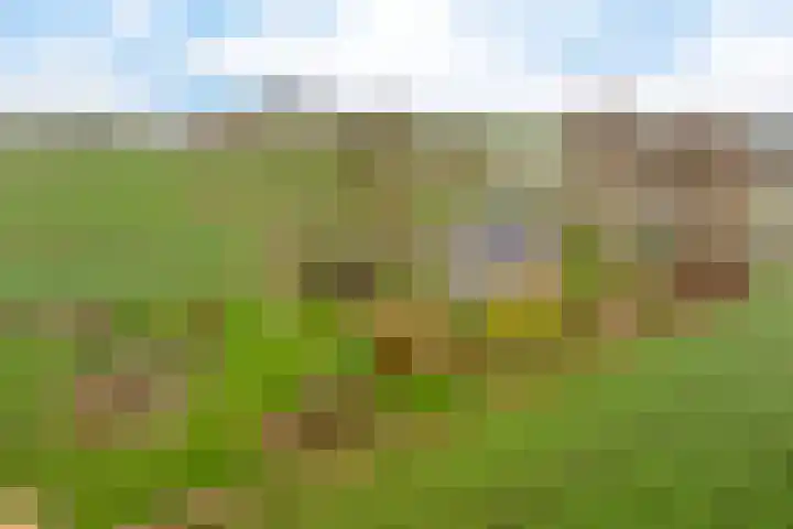 Fiveldijk 1 Westeremden thumbnail 51