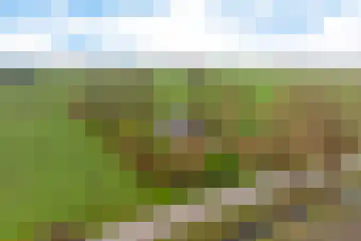 Fiveldijk 1 Westeremden thumbnail 52