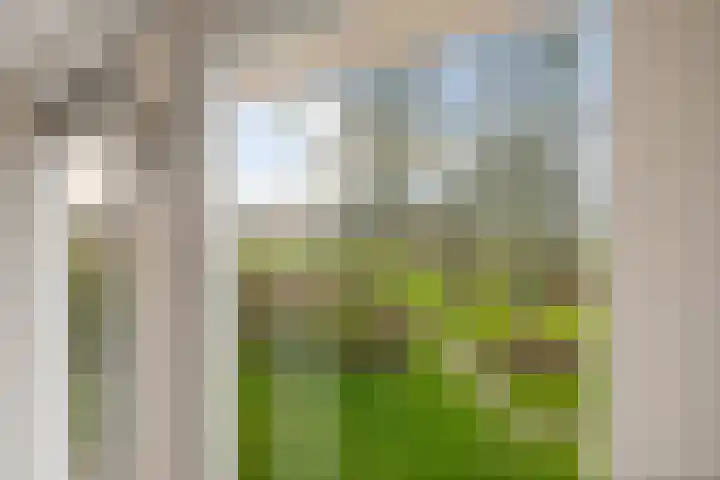 Fiveldijk 1 Westeremden thumbnail 53