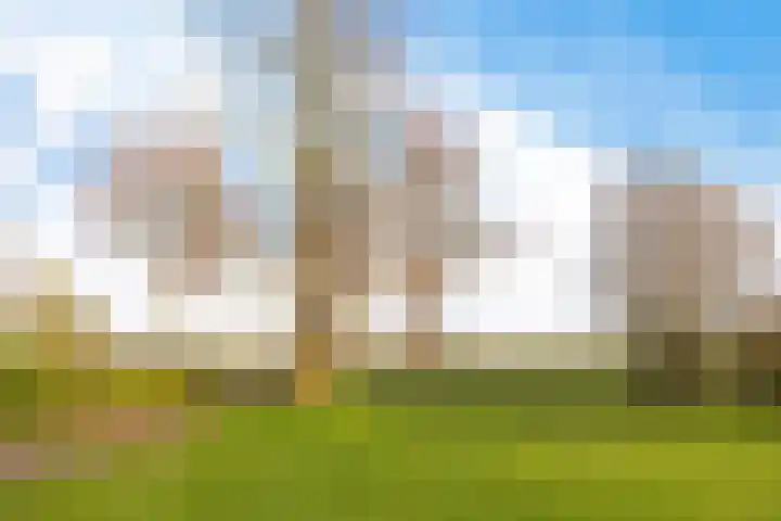 Fiveldijk 1 Westeremden thumbnail 7