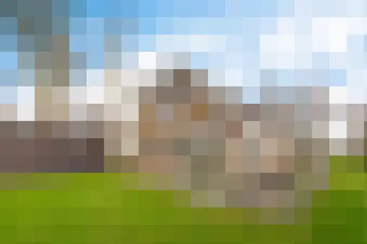 Fiveldijk 1 Westeremden thumbnail 8