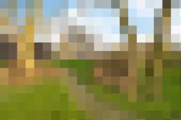 Fiveldijk 1 Westeremden thumbnail 9