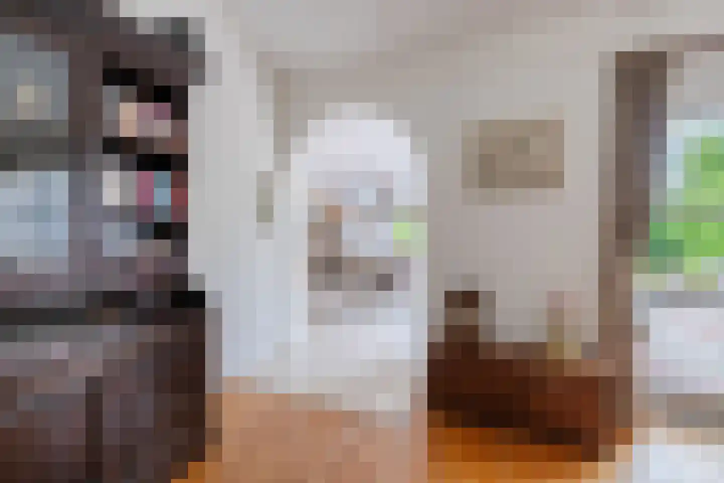 Fivelgolaan 16 Groningen thumbnail 17