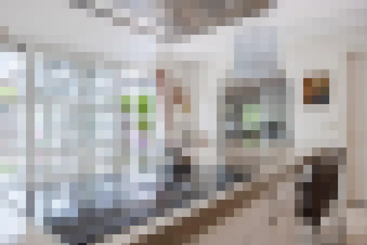 Fivelgolaan 16 Groningen thumbnail 21