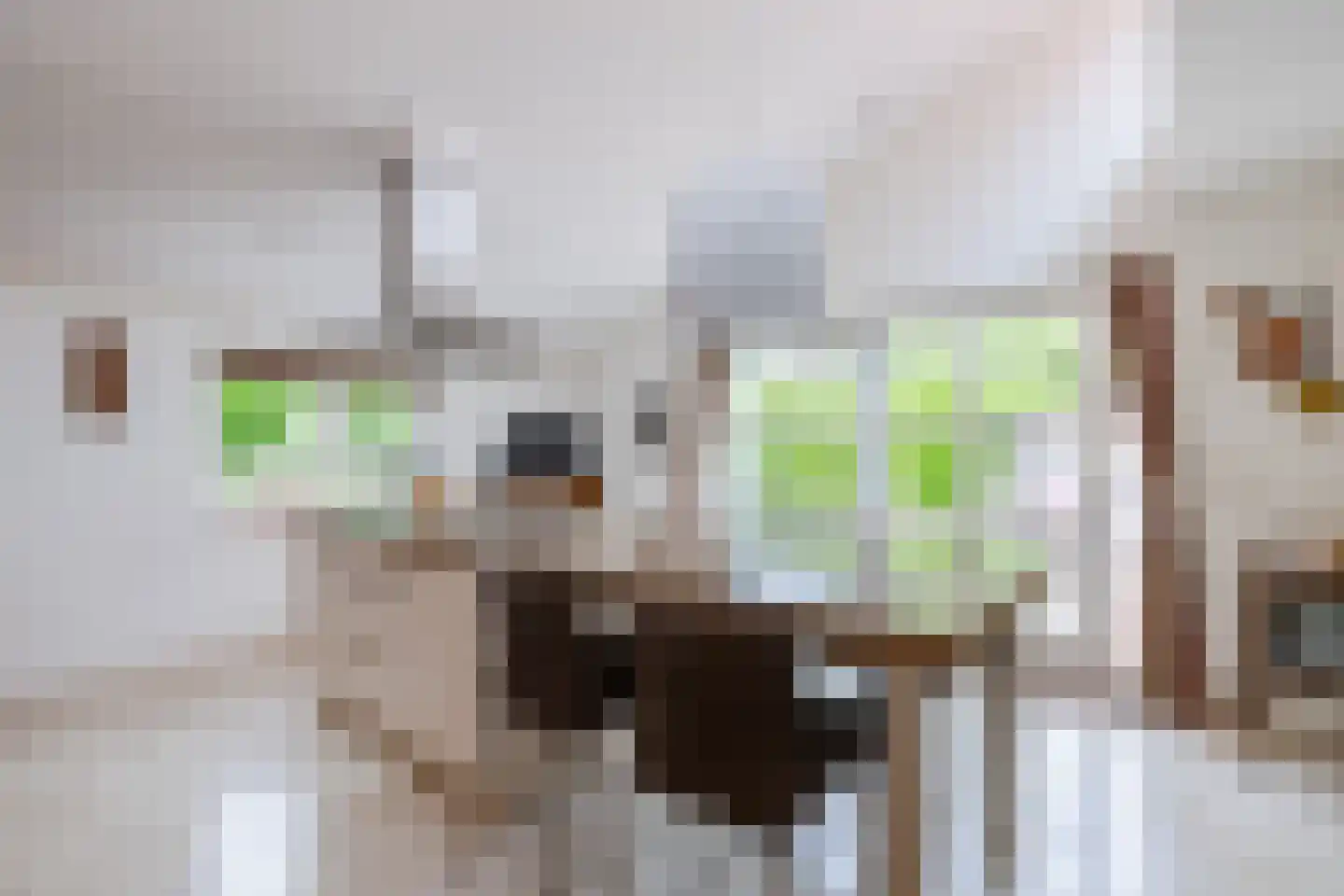 Fivelgolaan 16 Groningen thumbnail 22