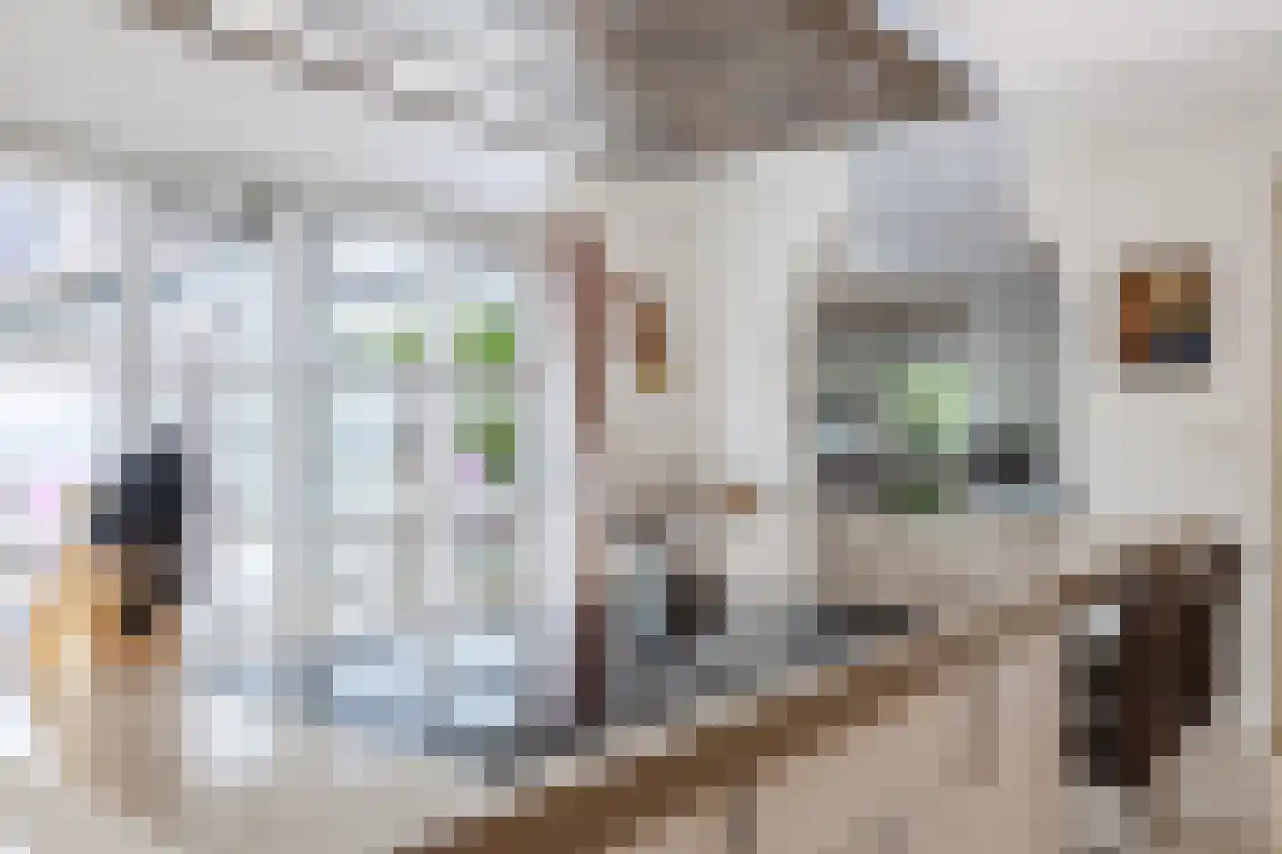 Fivelgolaan 16 Groningen thumbnail 23