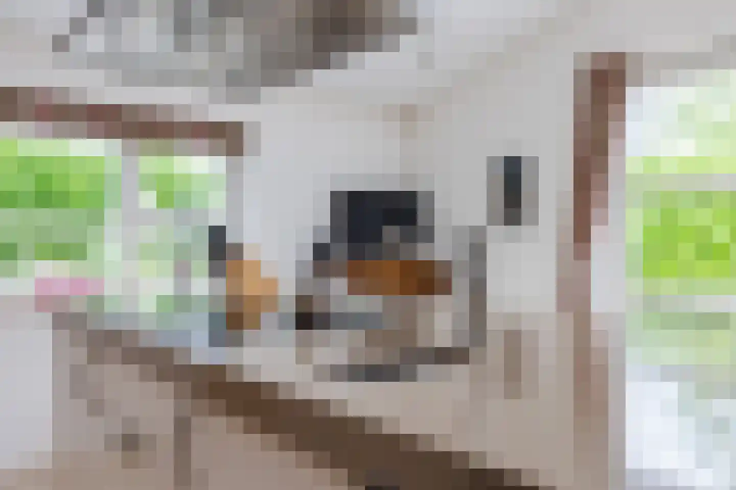 Fivelgolaan 16 Groningen thumbnail 24