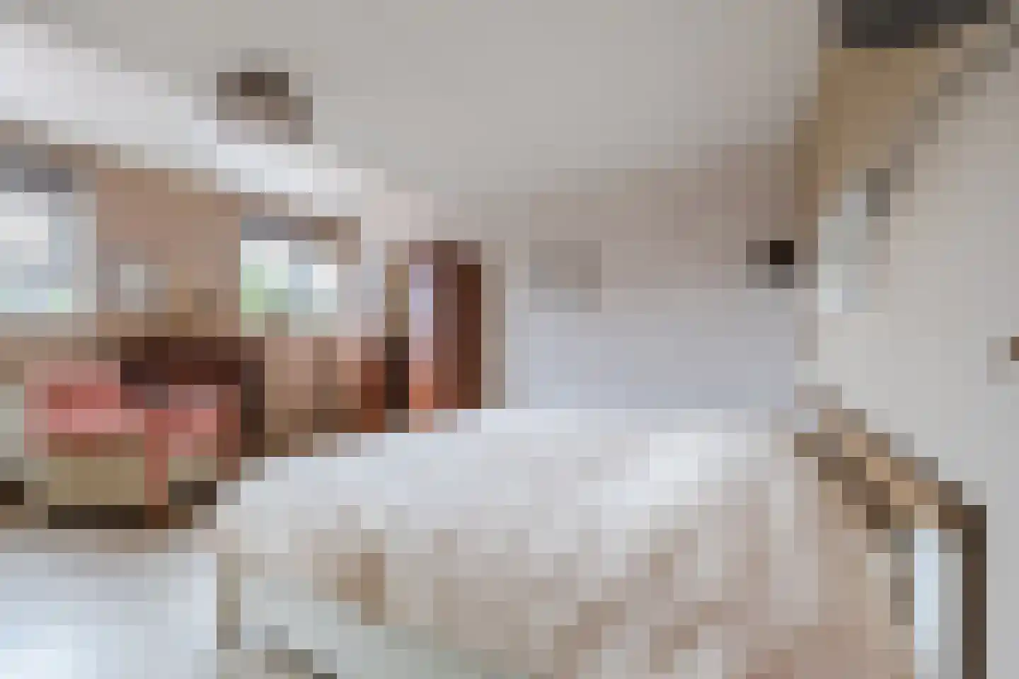 Fivelgolaan 16 Groningen thumbnail 31